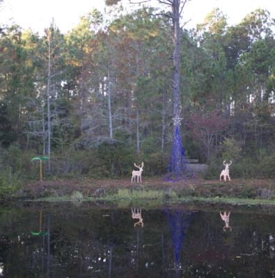 @ Okefenokee Swamp Park. Da fehlte noch der Alligator in der Krippe.